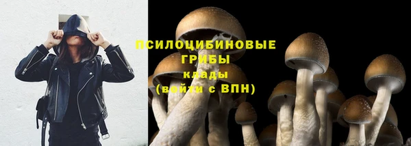 трава Зеленодольск