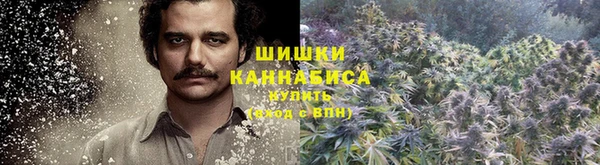 трава Зеленодольск